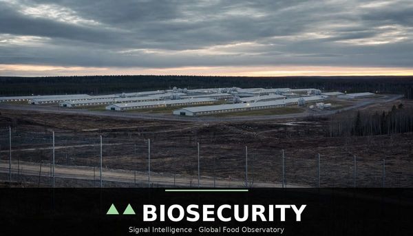 Finland's ASF count reaches nineteen wild boar with zero farm infections, yet three countries have closed to the whole nation