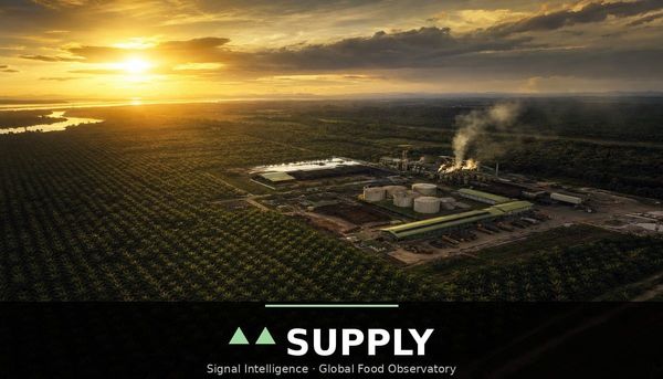 Malaysian palm oil stocks hit a five-month high on rising output but cargo surveyors report a double-digit August export slide