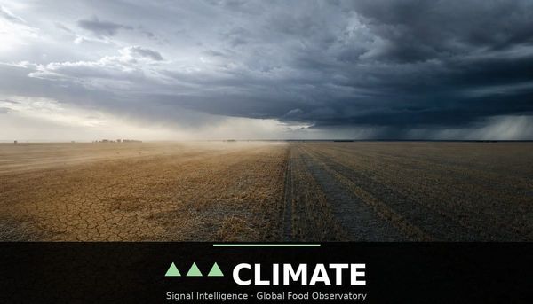 WMO puts Super El Niño persistence near certain through February as the Southern Hemisphere's highest-risk planting window opens