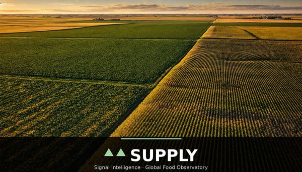 US corn and soybean conditions fall 12 points behind last year as the crop heads into September's make-or-break WASDE