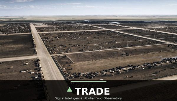 US beef imports hit a record as COOL review begins