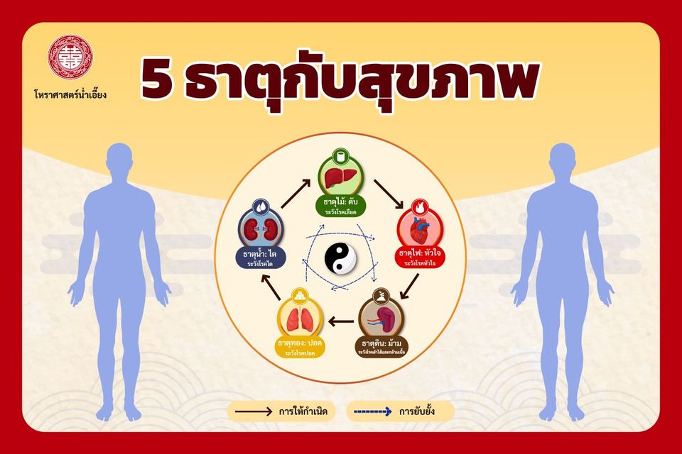 5 ธาตุกับสุขภาพ