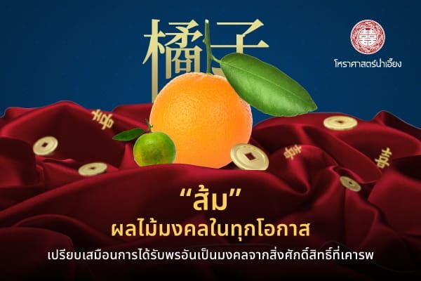 ส้ม ผลไม้มงคลในทุกโอกาส🍊🧧