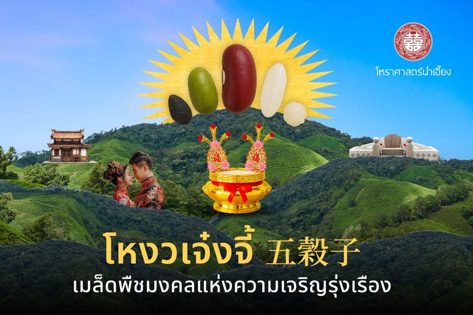 🌾โหงวเจ๋งจี้ เมล็ดพืชมงคลแห่งความเจริญรุ่งเรือง✨