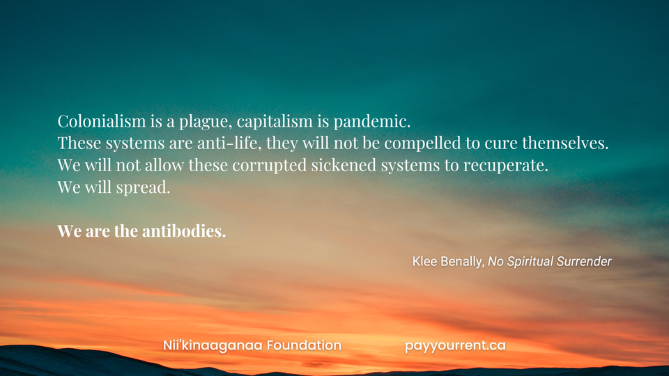 sunset, text from "rethinking the apocalypse" in Klee Benally's book No Spiritual Surrender.  we are the antibodies