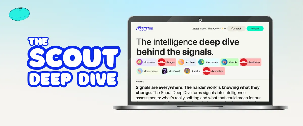 About The Scout