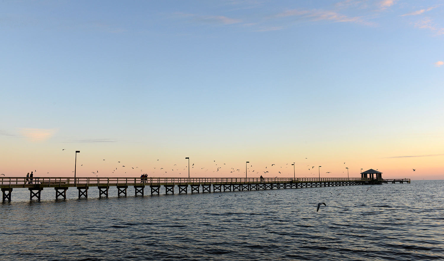 students I am writing about volunteering walking the pier at the beach