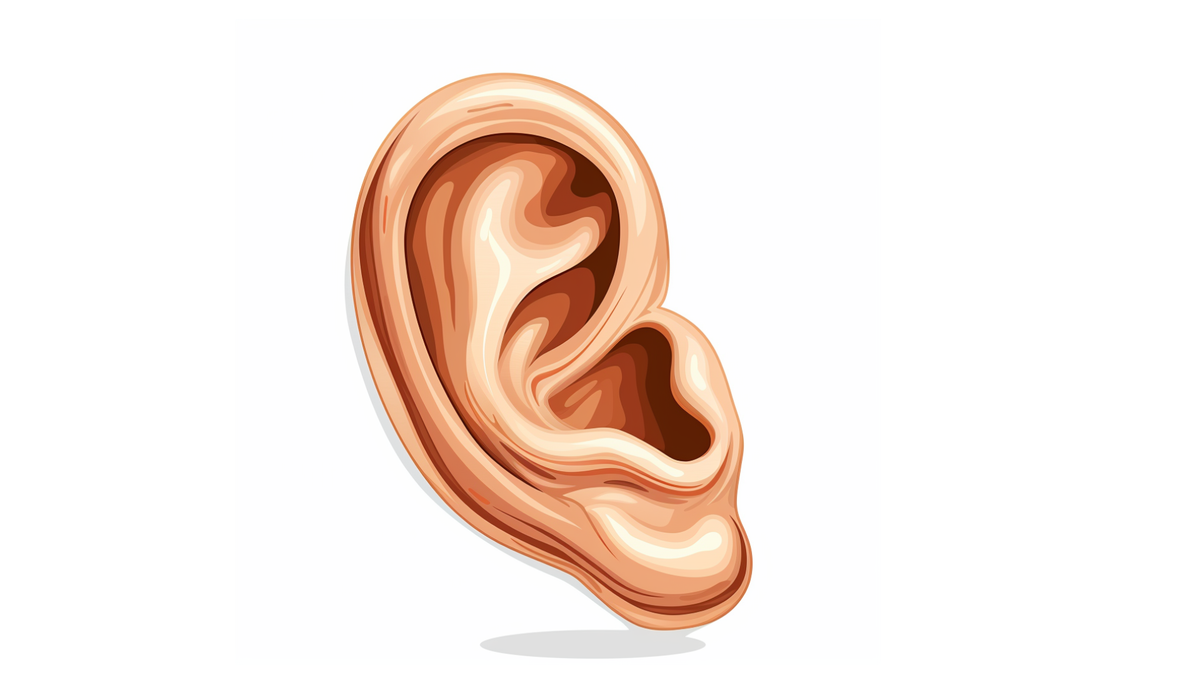 How to be an Active Listener