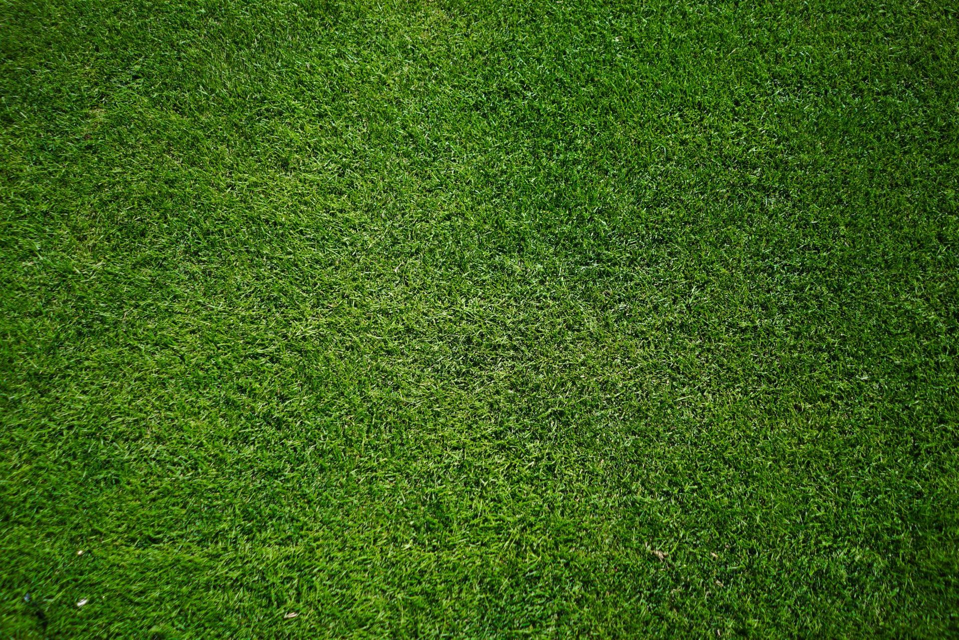 How to watch as little football as possible