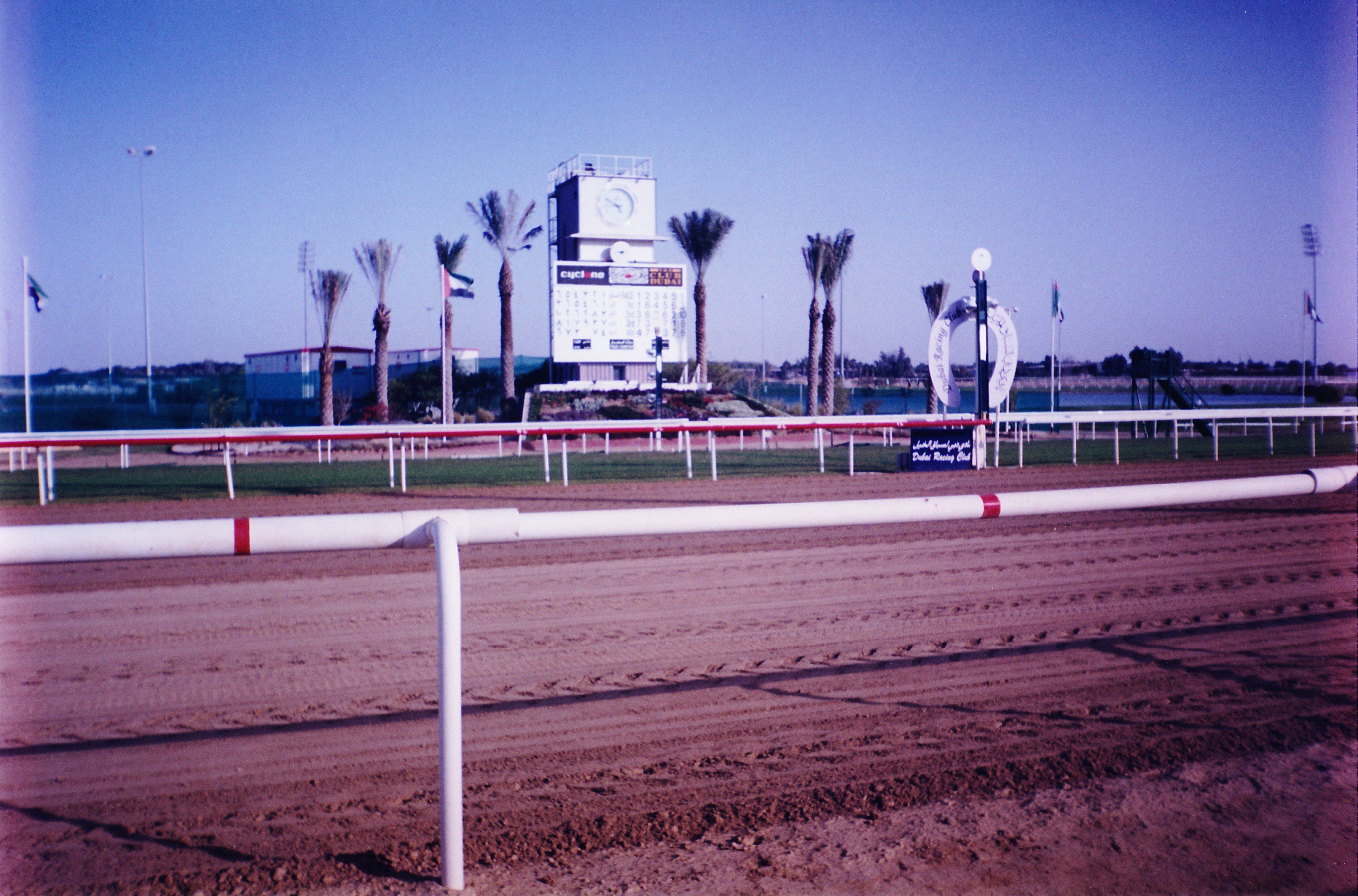 The tote board of nad al Sheba racecourse