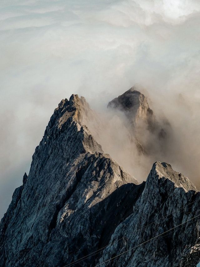 Presence, Absence, and a Cry from the Wilderness
