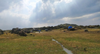 Nomadic Lifestyle Continues Traditional Heritage - Botan Times
