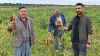 Diyarbakır’da şeker pancarında hasat başladı: Çiftçinin gözü fiyatta