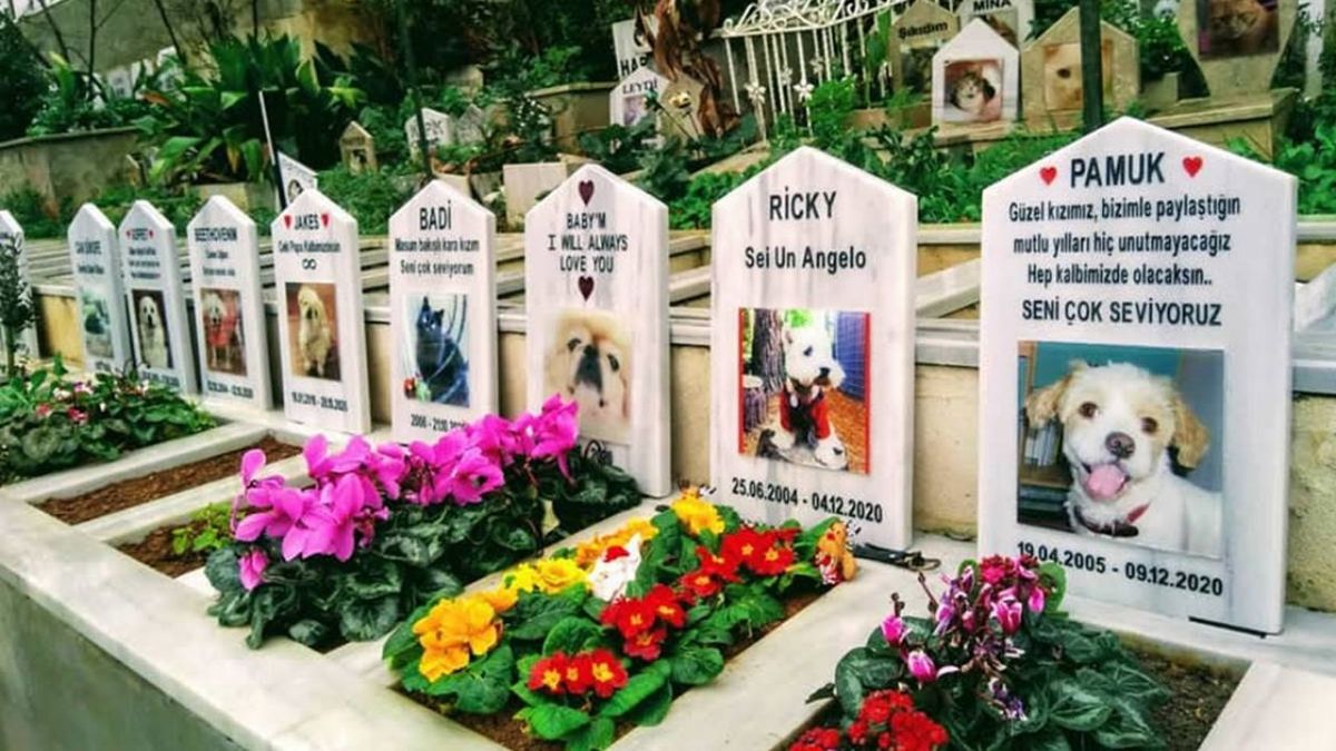 Diyarbakır’da hak savunucuları hayvan mezarlığı istiyor
