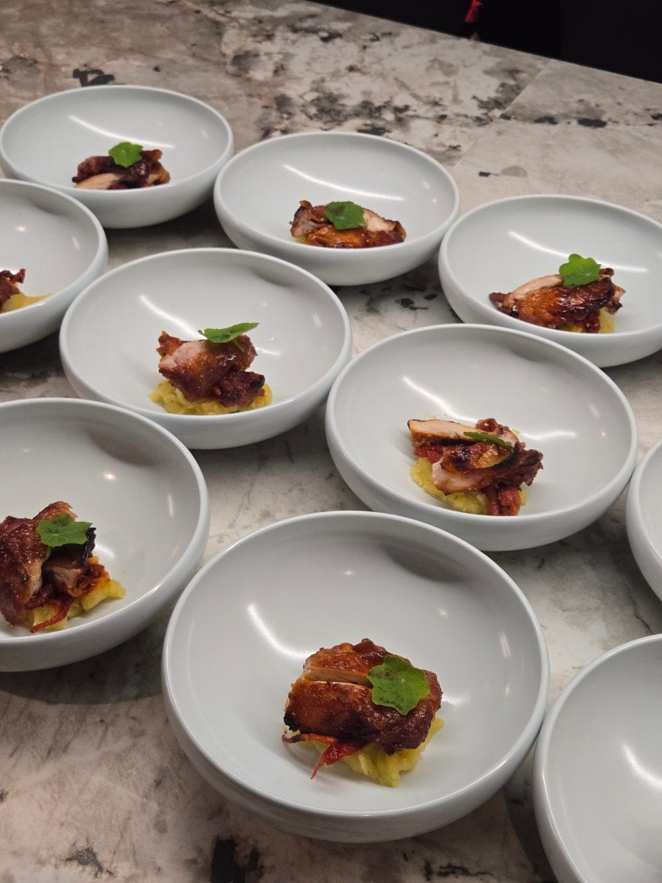Pet-Friendly Outdoor Party Catering in Korea — 3