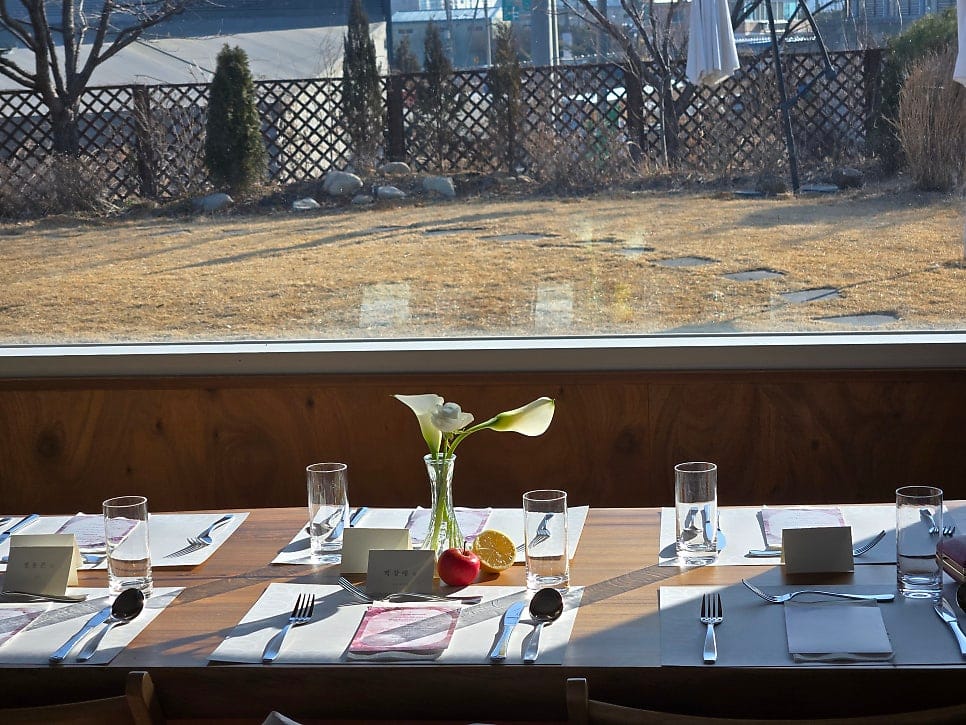 Pet-Friendly Outdoor Party Catering in Korea — 7