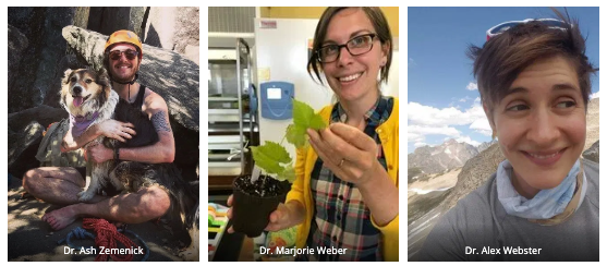 Screen Shot 2020-01-13 at 11.37.55 AM.png