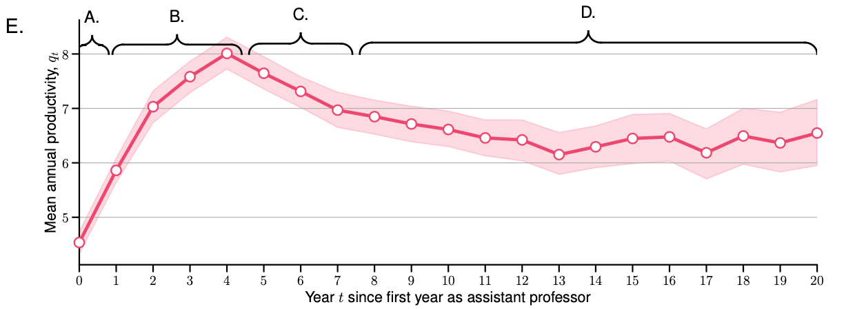 a figure with "year t since first year as assistant professor" on the x axis and "mean annual productivity" on the y axis. The numbers increase with a high slope linearly until year 4, and then there's a steady drop and flatline up to 20