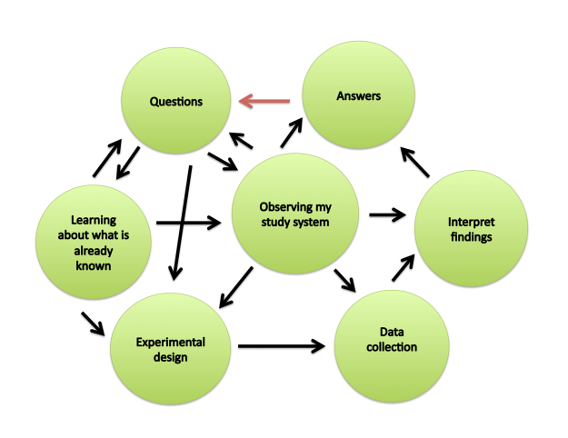 We’re teaching the scientific method incorrectly