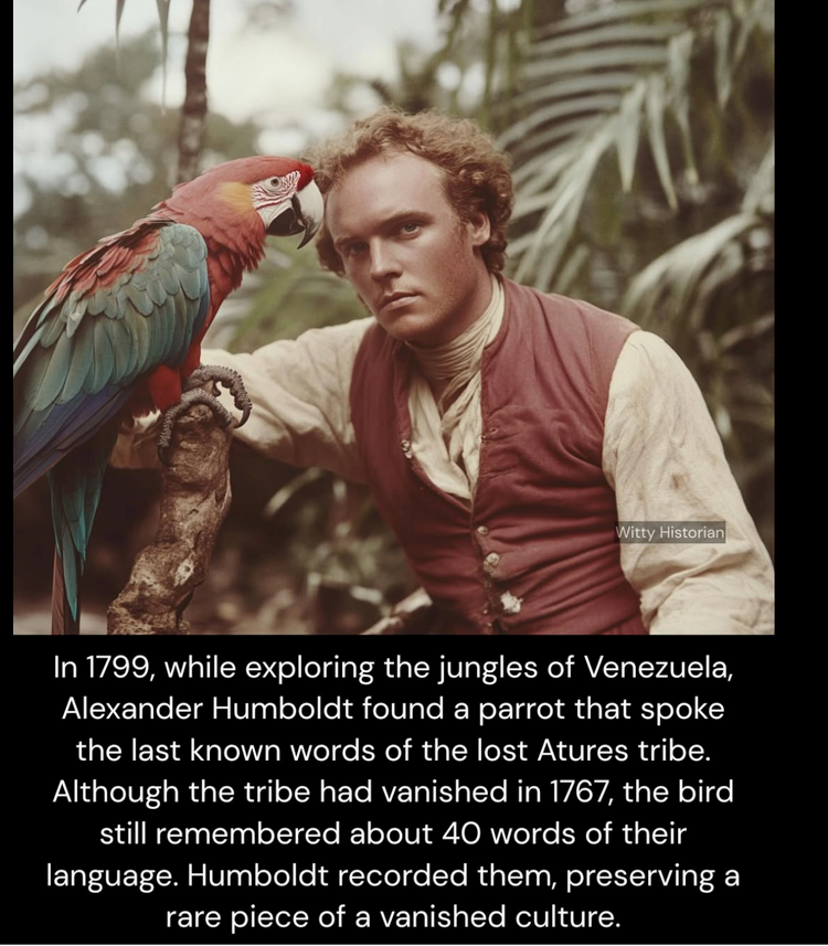 Against AI in images and writing