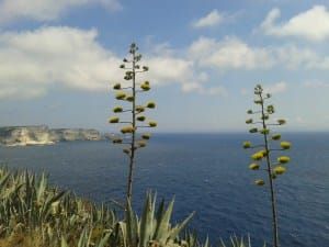 A vacationing scientist.