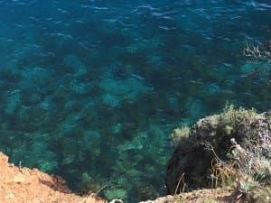 The more things change, the more they change