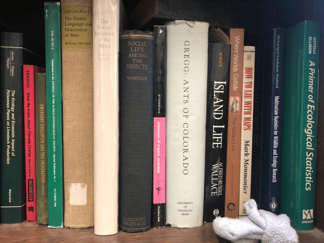 Recommended Reads #161