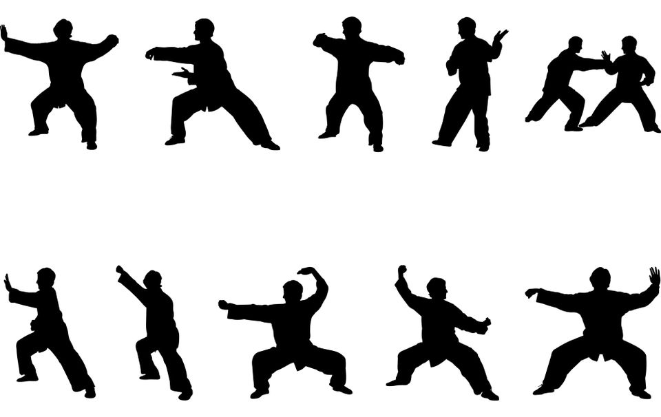 white background with white silouettes of various tai chi postures