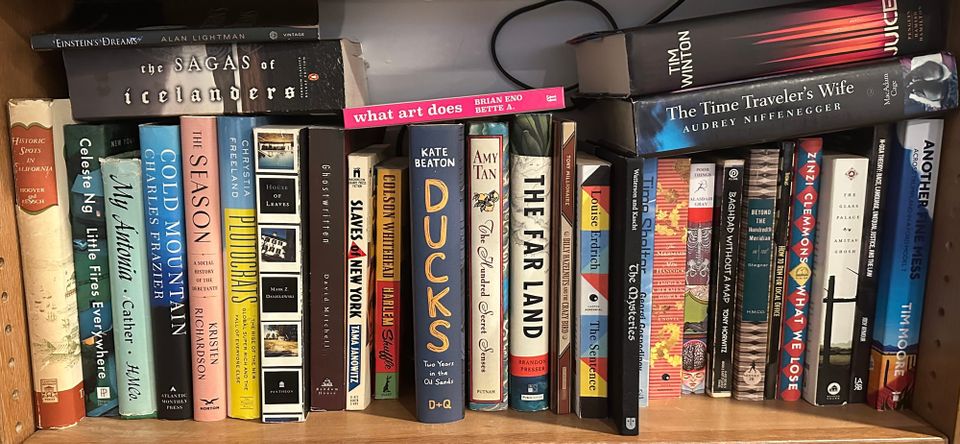 a bookshelf full with a broad variety of books