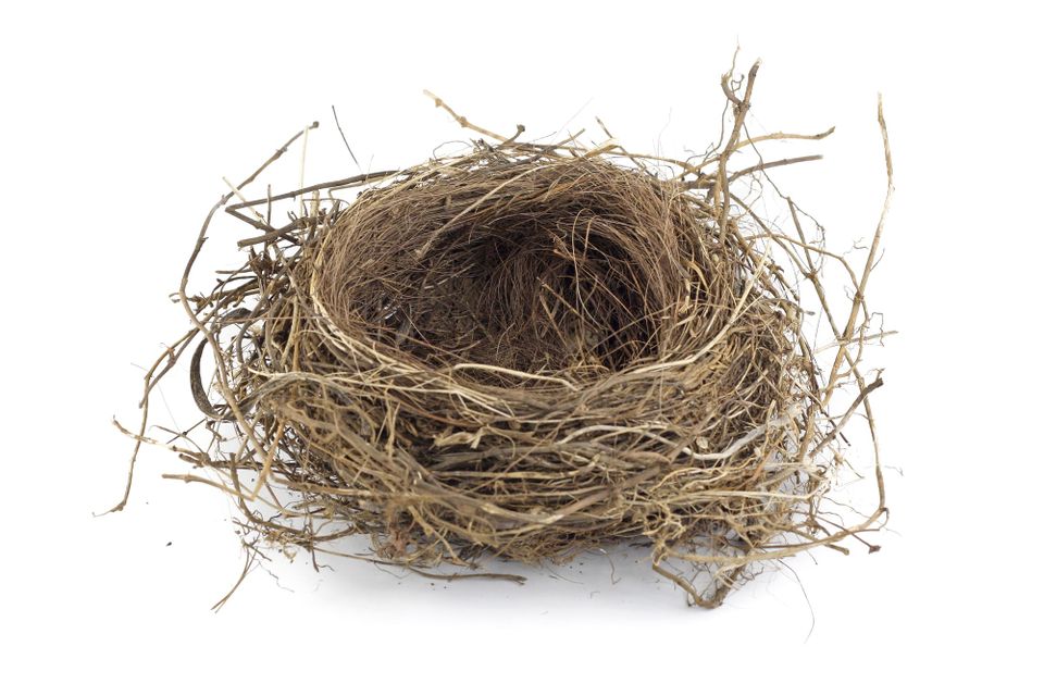 an empty bird nest, made of up plant fibers