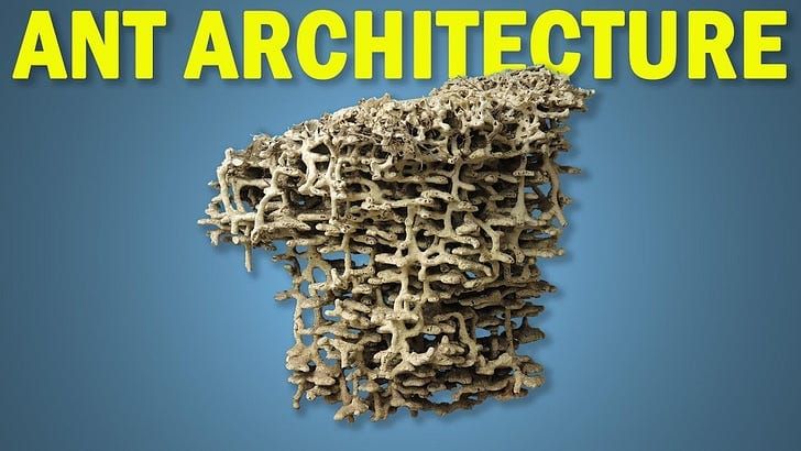 Recommended reads #191