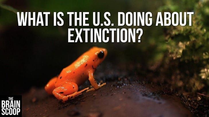 Recommended reads #122