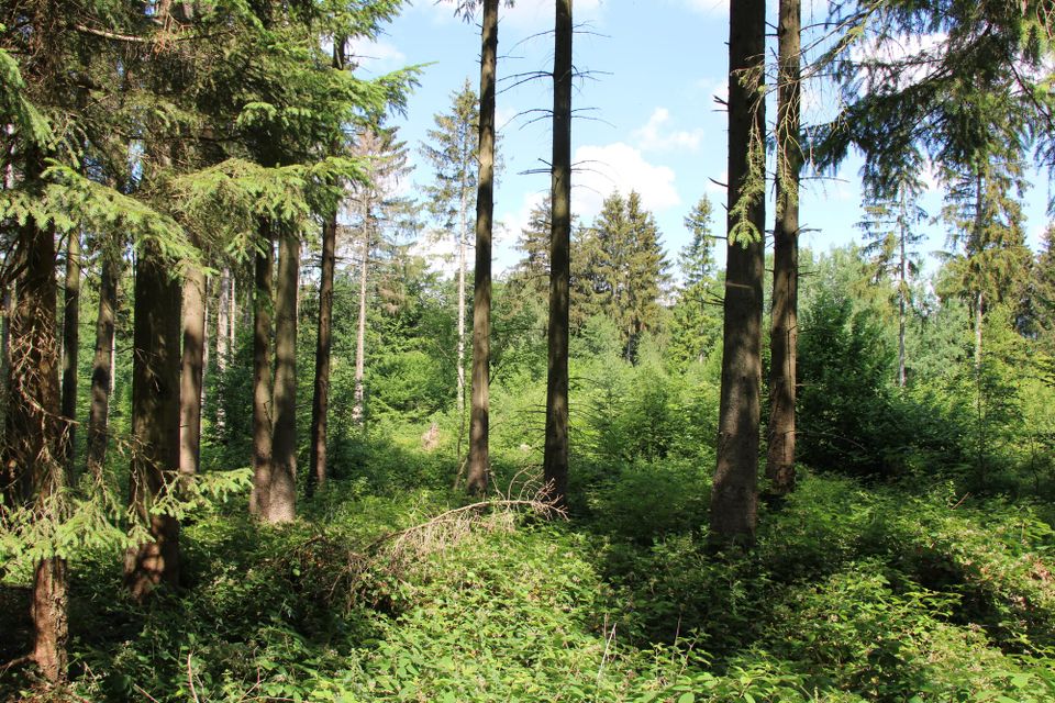 What does it take at each career stage?