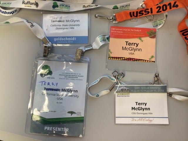 Scientific conferences, the too-slow movement of ideas, and giving an engaging talk