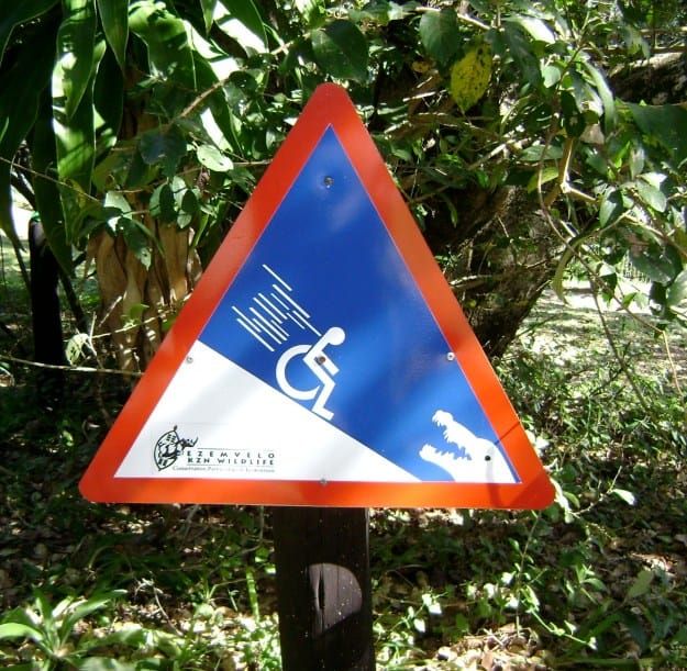 Summer is approaching: beware the pit of crocodiles