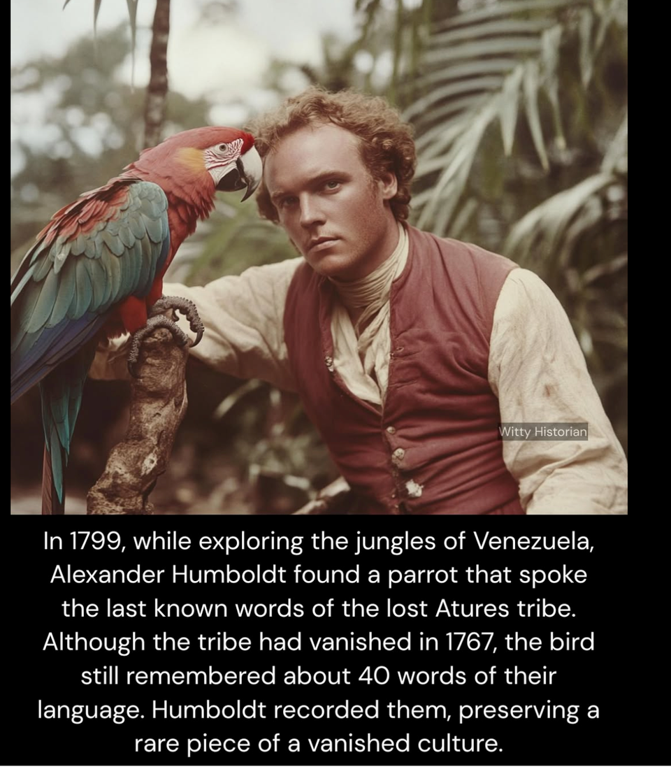 Against AI in images and writing