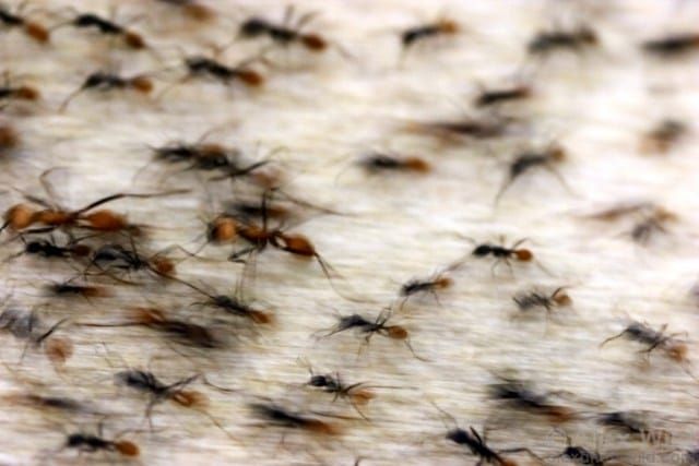 Negative results, weird results, and other secrets