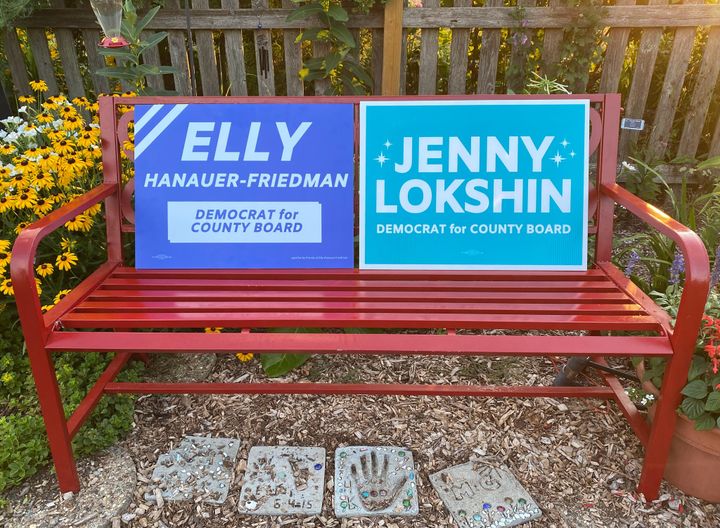 I Have To Ask: Jenny Lokshin + Elly Hanauer-Friedman (Champaign County Board Candidates)
