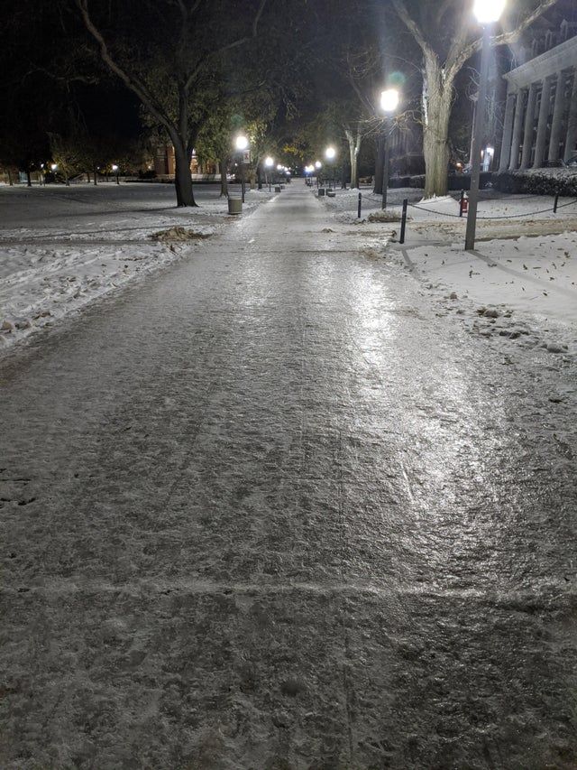 Good Reads: 11/14/19