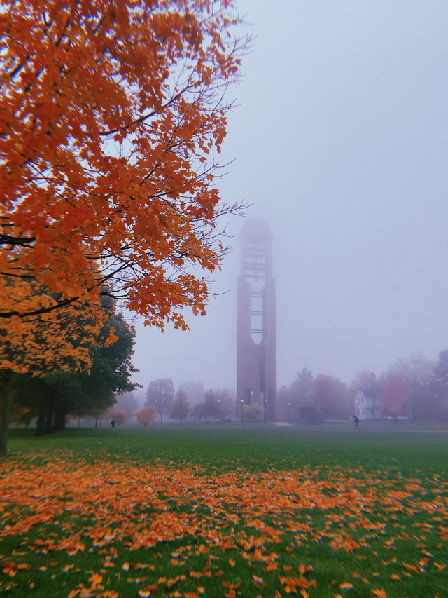 Good Reads: 10/30/19