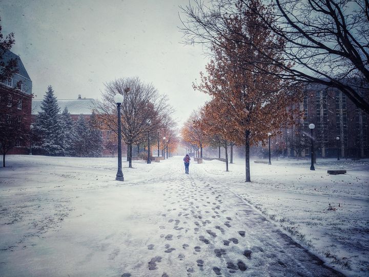 Good Reads: 11/15/19