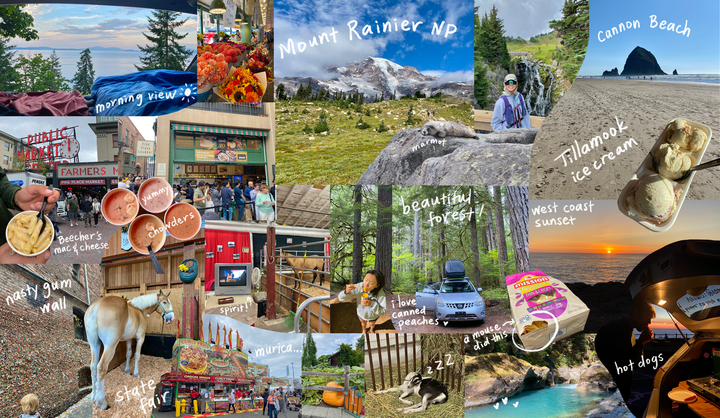 Collage of Washington