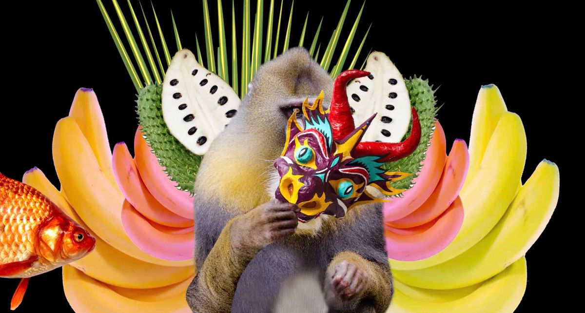 Women at the Front at Electric Picnic 2025