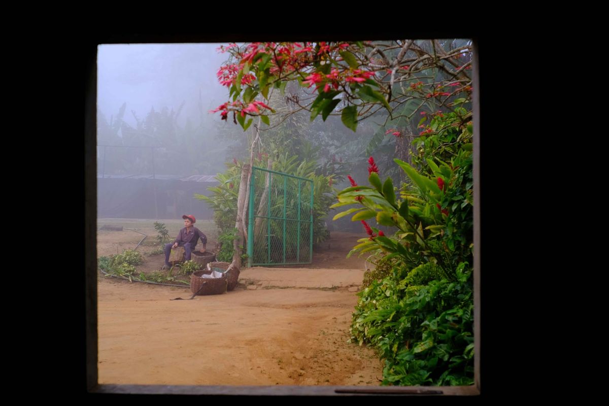 Semillas Resilientes de Venezuela