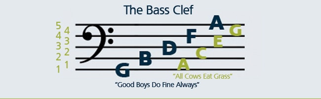 The-Bass-Clef