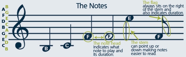 In order to know how to read music, you must learn the parts of a musical note.
