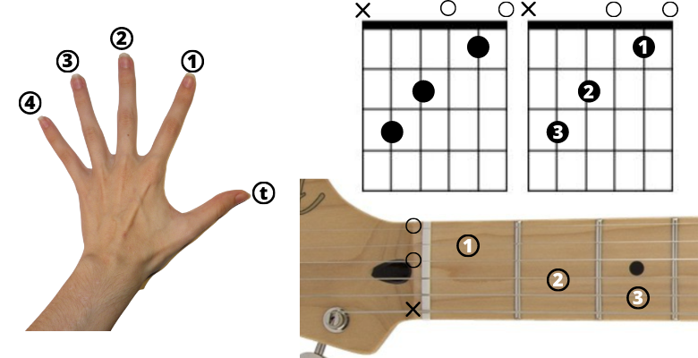 Authority Guitar: Chord Boxes With Numbers