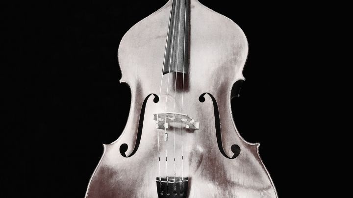 Richard Davis: Renowned Jazz Bassist and Professor Dies at 93