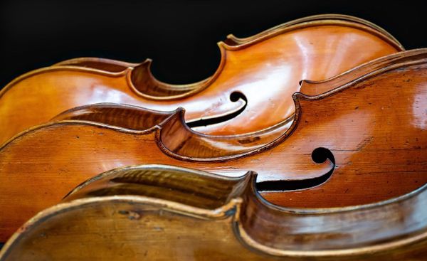 Top 25 Cello Arrangements