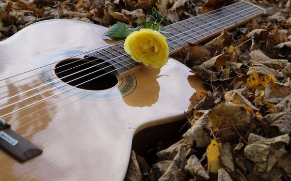 What’s New This Week: 10/11/23